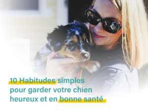 10 habitudes simples pour garder votre chien heureux et en bonne santé ​
