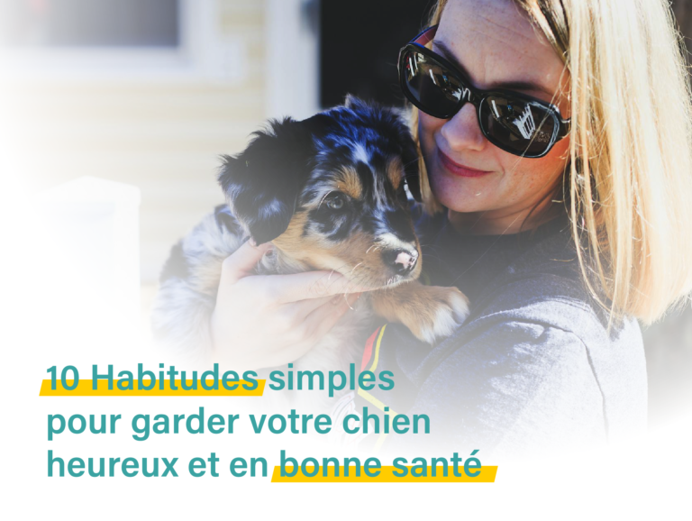 10 habitudes simples pour garder votre chien heureux et en bonne santé 