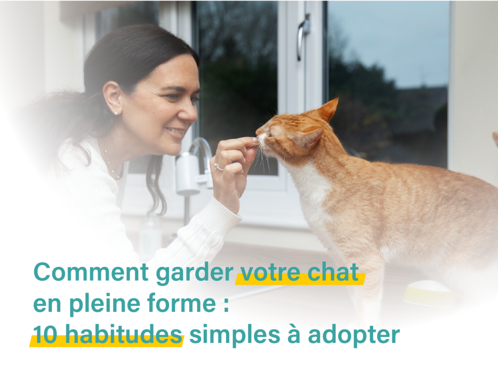 Comment garder votre chat en pleine forme : 10 habitudes simples à adopter​